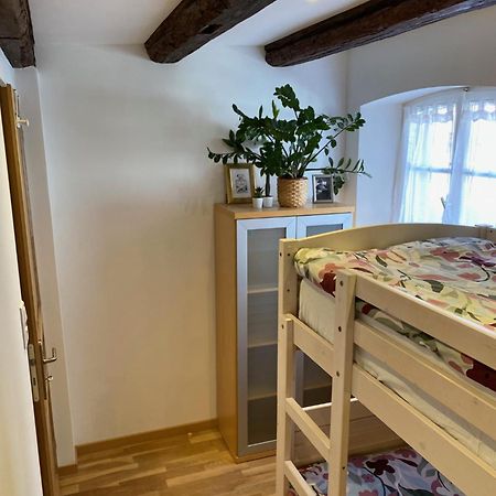 Le 128, Duplex Alsacien 10 Personnes, Piscine Apartment Horbourg ภายนอก รูปภาพ