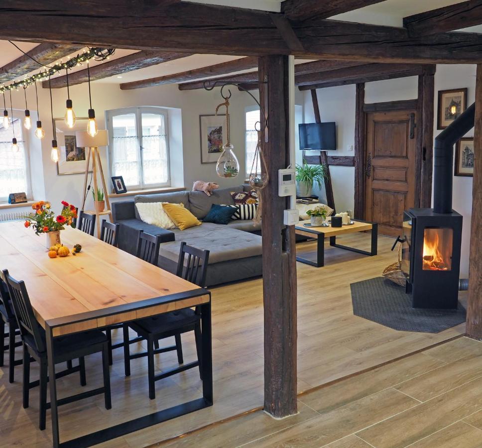 Le 128, Duplex Alsacien 10 Personnes, Piscine Apartment Horbourg ภายนอก รูปภาพ