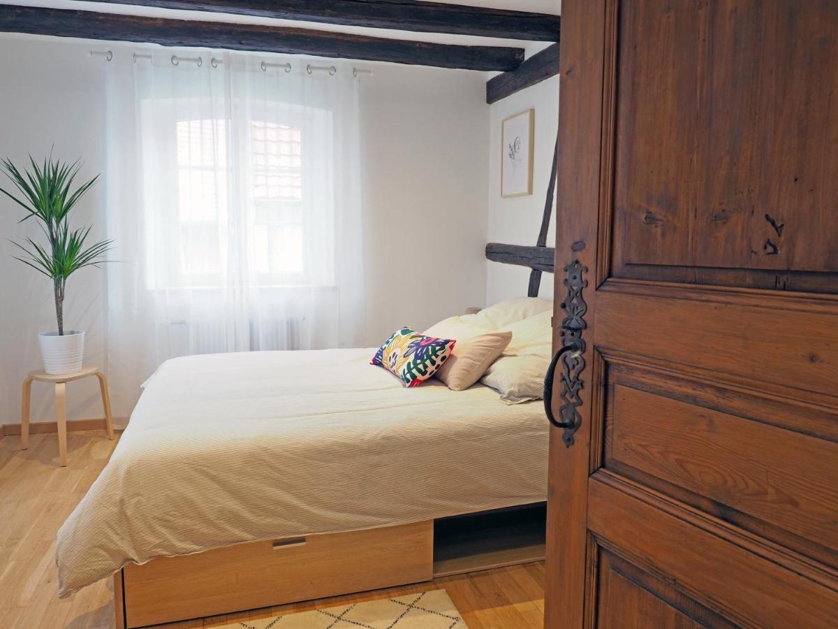 Le 128, Duplex Alsacien 10 Personnes, Piscine Apartment Horbourg ภายนอก รูปภาพ