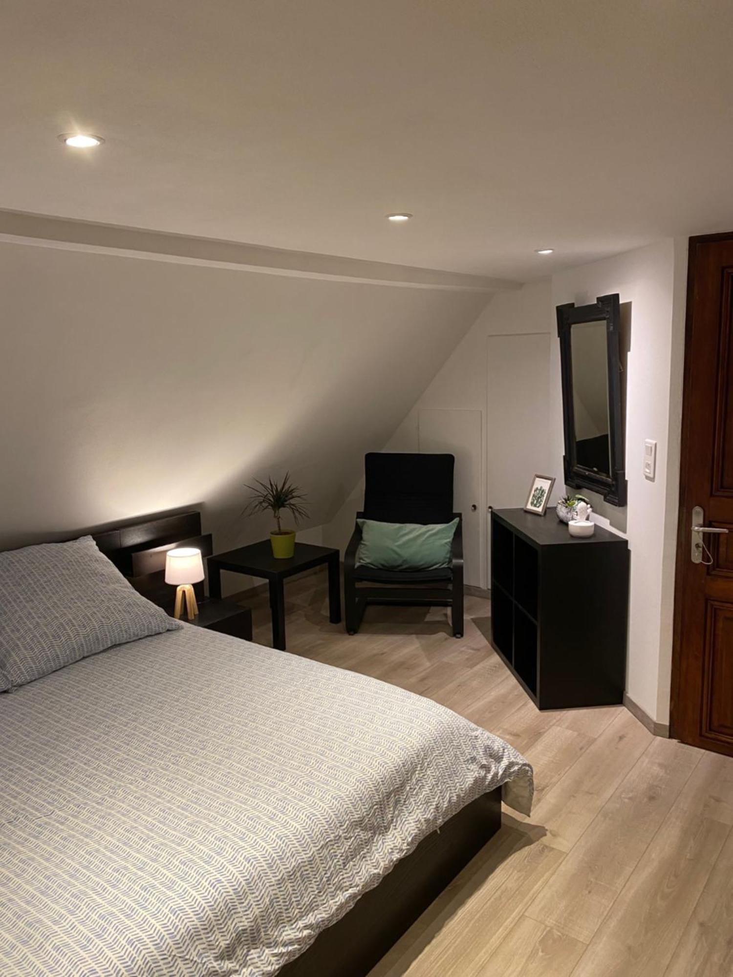 Le 128, Duplex Alsacien 10 Personnes, Piscine Apartment Horbourg ภายนอก รูปภาพ