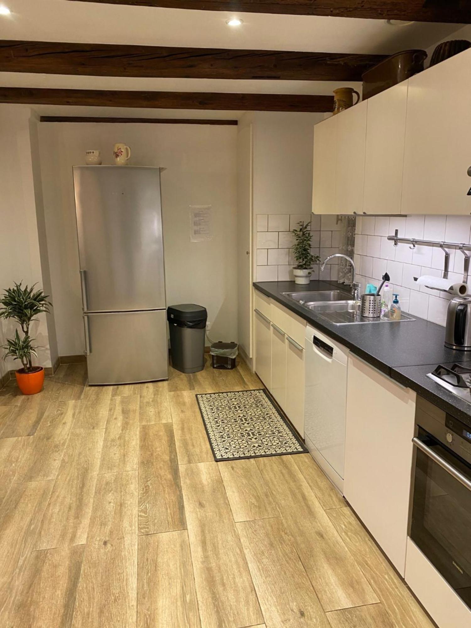 Le 128, Duplex Alsacien 10 Personnes, Piscine Apartment Horbourg ภายนอก รูปภาพ